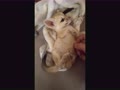 ミルクの後は